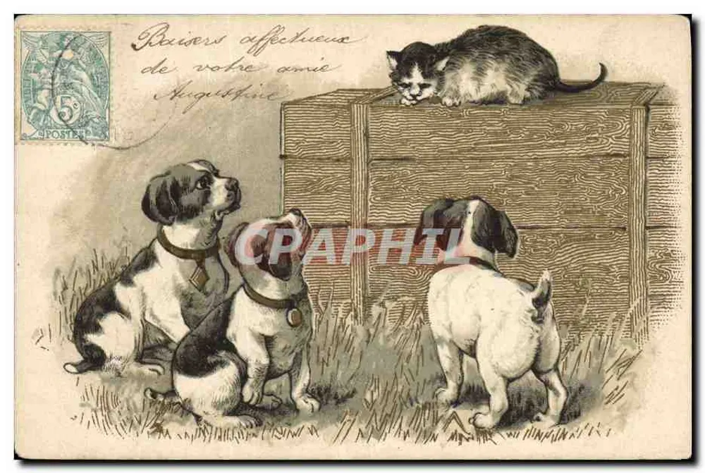 Cães e gato — cena animal — K. F. Editores, Paris - Frente