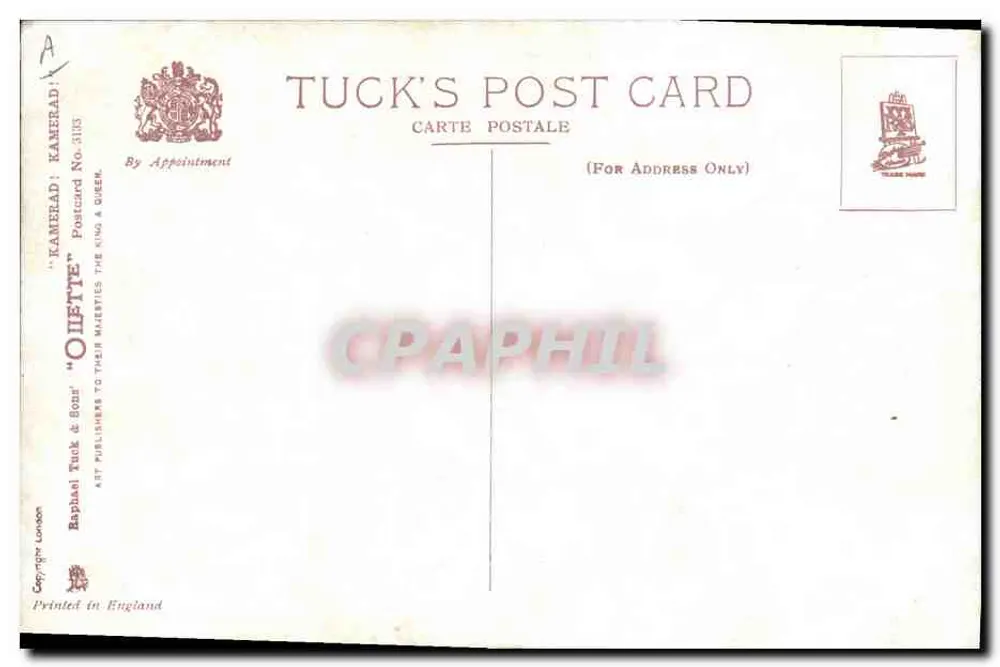 Gato preto e filhote — cena humorística — Tuck & Sons, n° 3133 - Verso