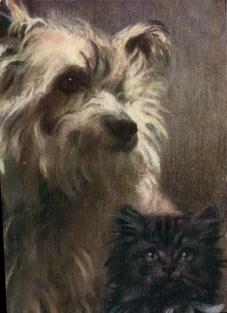 Pies i kot — ilustracja — Tuck's Post Card, nr 9462 - Awers