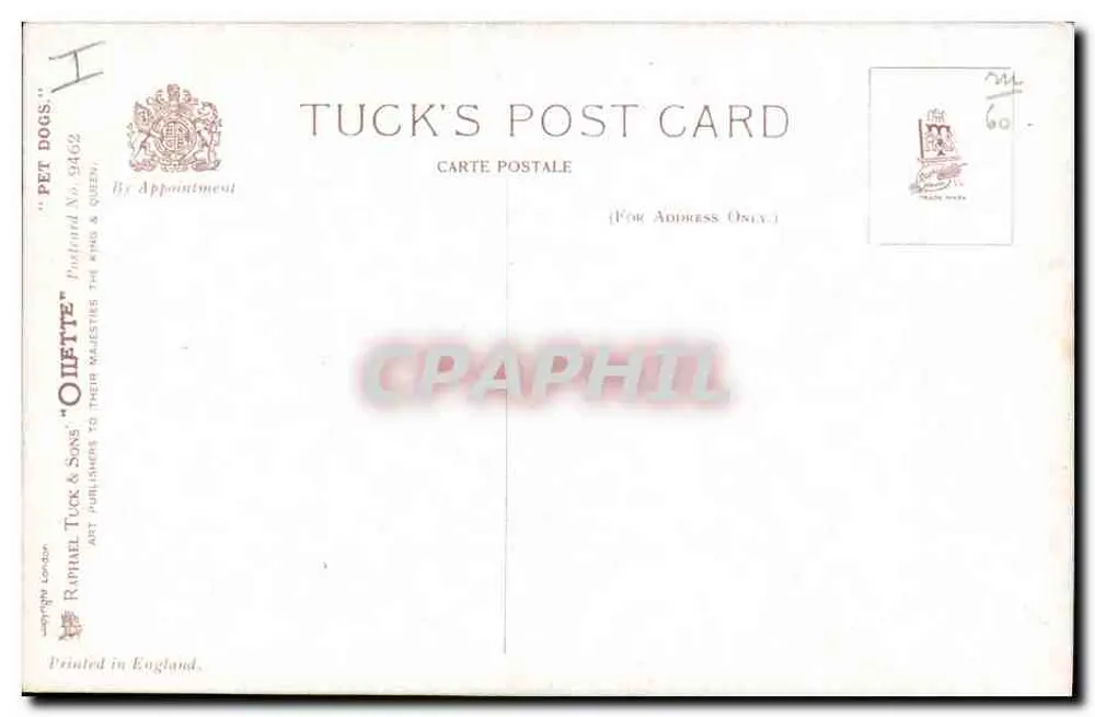 Pies i kot — ilustracja — Tuck's Post Card, nr 9462 - Rewers