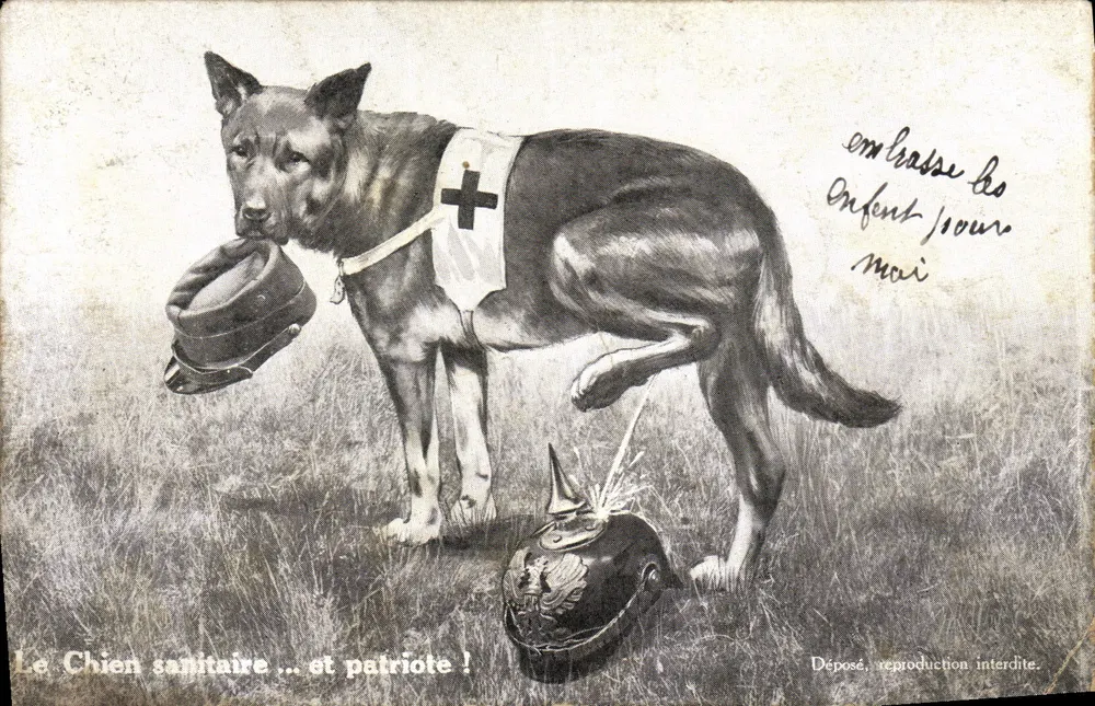Sanitätsdogge ... und Patriot! — Unbekannter Verlag - Vorderseite