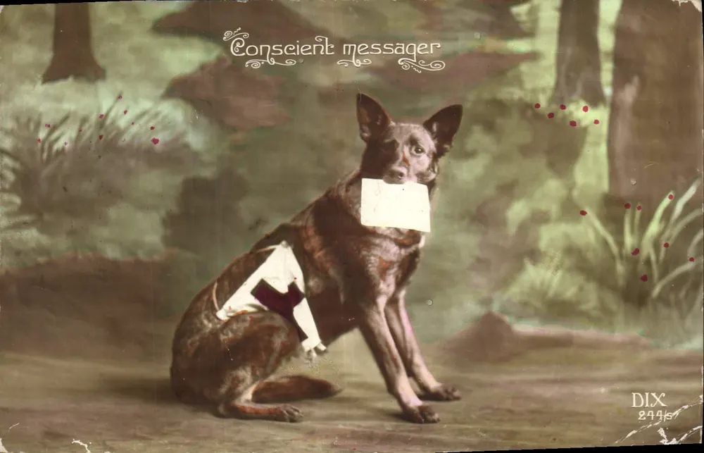 Chien messager — scène forestière — éditeur DIX n° 2445 - Voorkant