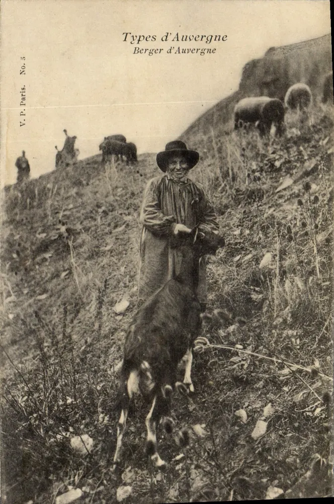 Berger d'Auvergne — Typen von Auvergne — V.P. Paris, Nr. 5 - Vorderseite