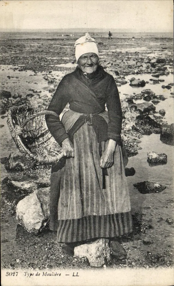 Moulière — Tipo de Moulière — LL - Frente