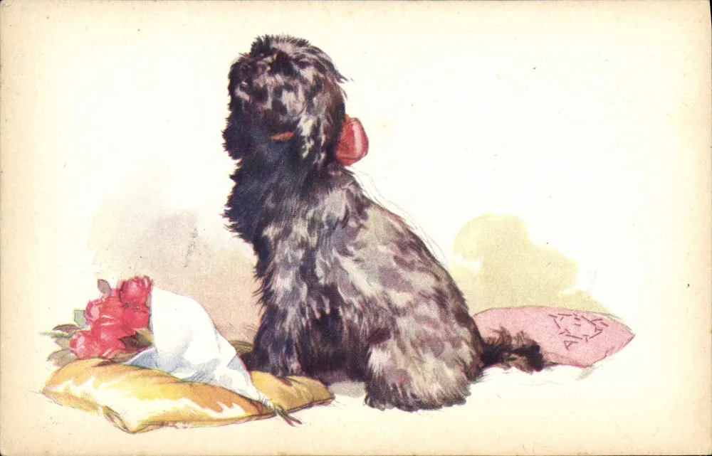 Cachorro preto com gravata vermelha — sobre almofadas e rosas — Impressora Italiana Milano, n° 450-6 - Frente