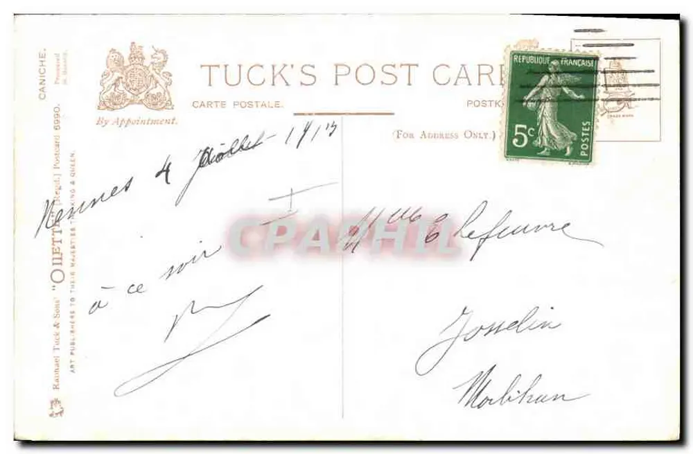Portret psa z białą grzywą — praca Colléte Trumper — wydawca Tuck's Post Card, nr 6990 - Rewers