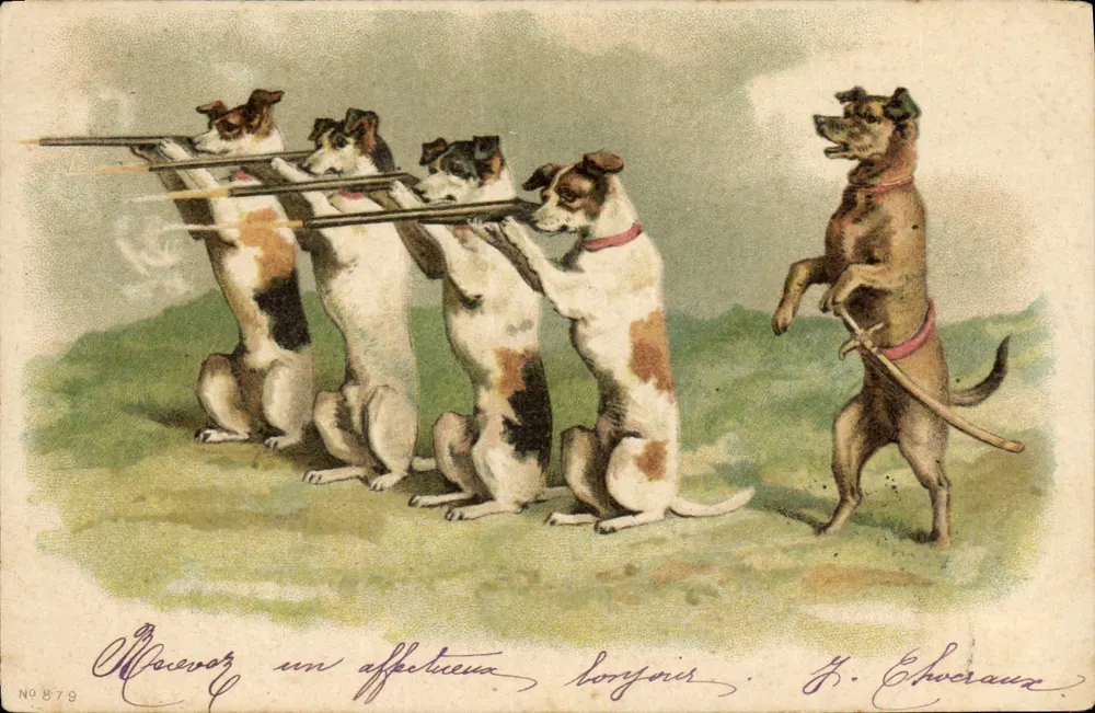 Cães de caça — quatro cães segurando espingardas, um cão segurando uma espada — Z. Chveraux, n° 879 - Frente