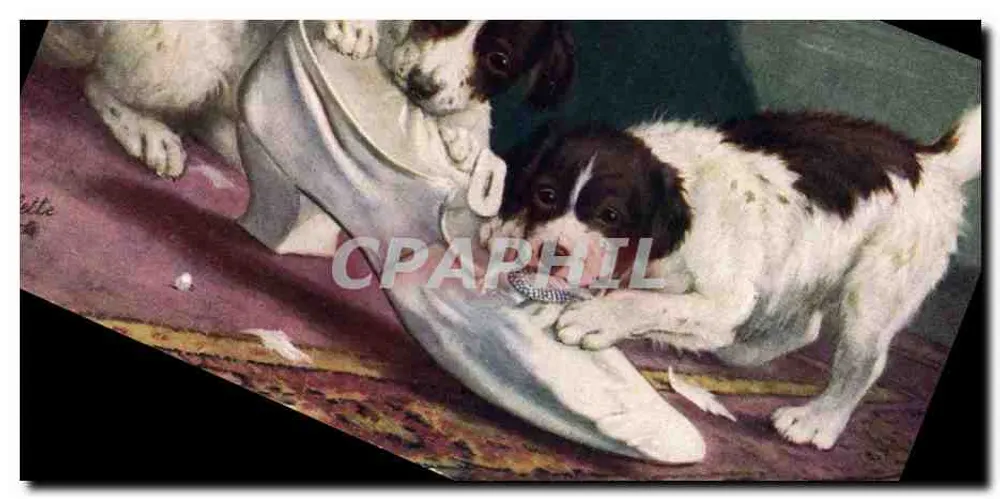 Dois filhotes brincando com um sapato — Raphael Tuck & Sons — N° 9785 - Frente