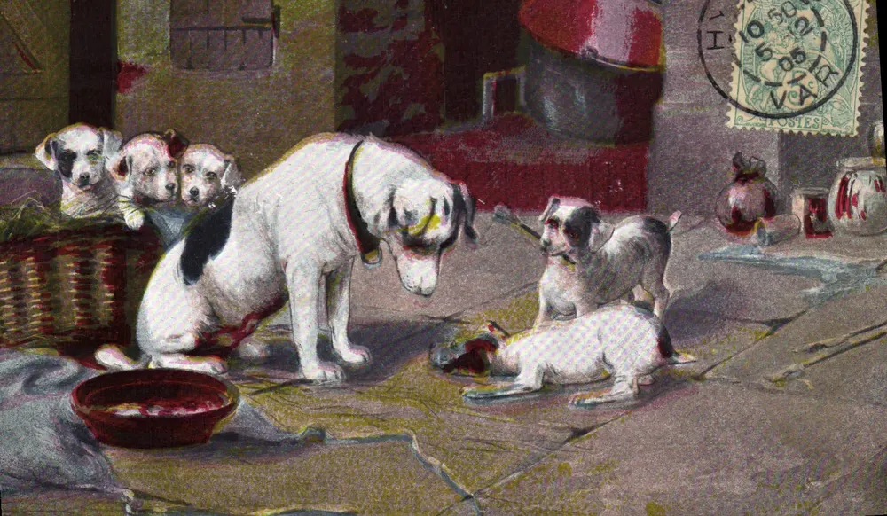 Cães e filhotes — cena de vida — editor Weltpostverein, n° 97 - Frente