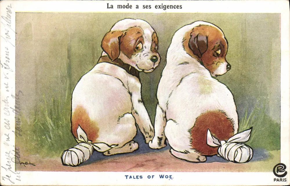 Dois filhotes com patas imobilizadas — A moda tem suas exigências — Tales of Woe, Paris - Frente