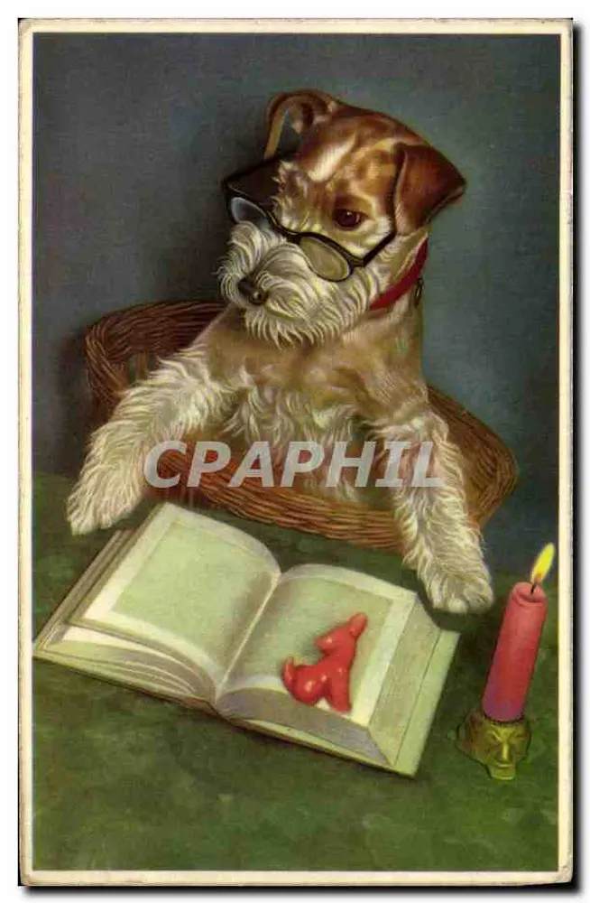 Chien en lunettes — lecture à la lumière d'une bougie — éditeur PRILLANT - Awers