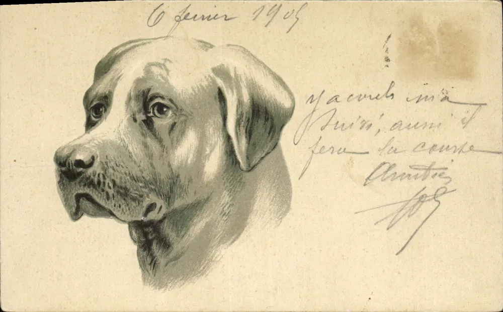 Retrato de cão — desenho a lápis — editor desconhecido - Frente
