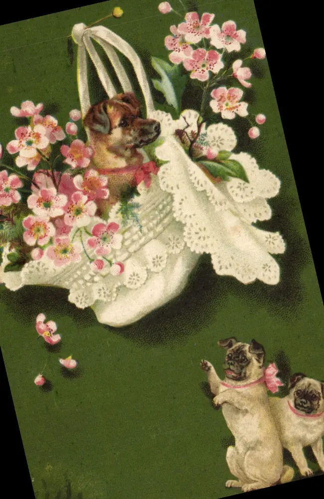 Chien dans un panier fleuri — scène de jardin avec deux pugs — K. F. Éditeurs, Paris, Série 1349 - Frente