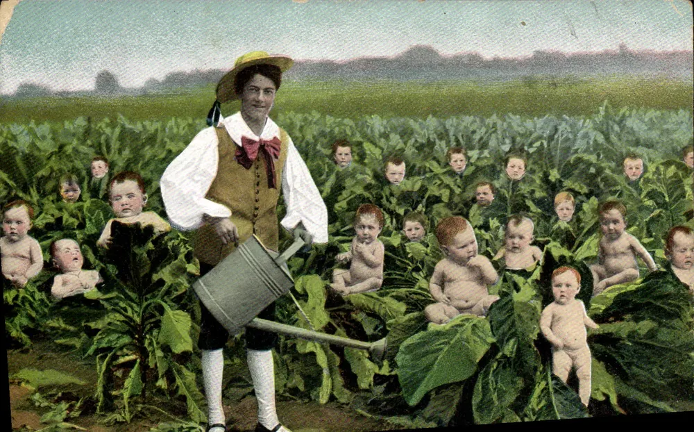 Mulher regando plantas de tabaco — bebês emergindo das folhas — editor Weltpostverein, série 346 - Frente