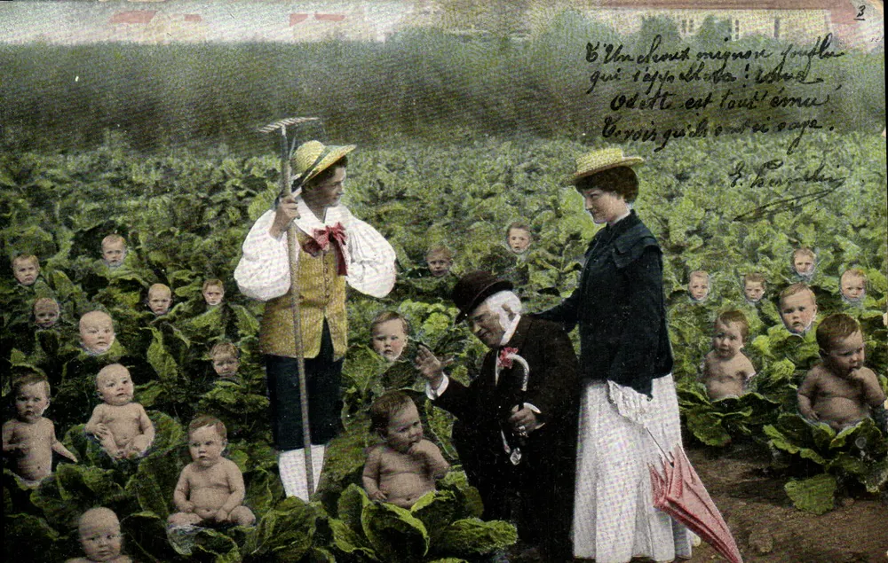 Família em um campo de couve — editor União Postal Universal, série 348 - Frente
