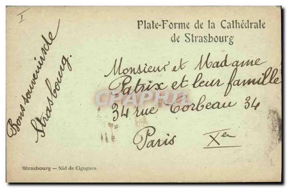 Strasbourg — Ninho de corujas — Torre da Catedral - Verso