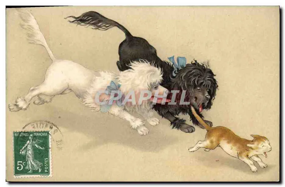 Cães e gato em corrida — edições J. Goinvong — n° 310 - Frente