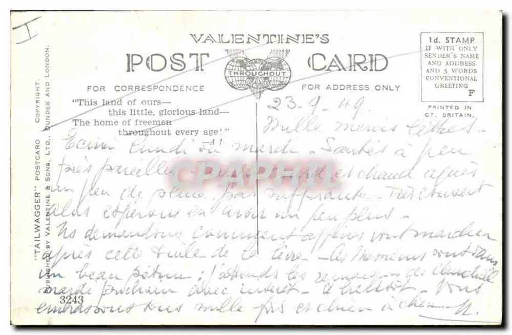 Szczury bliźniaki — Mac — wydawca Valentine's Postcard - Rewers