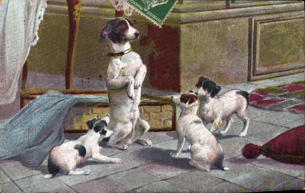 Cães em uma sala — ilustração — editor não identificado, n° 97 - Frente