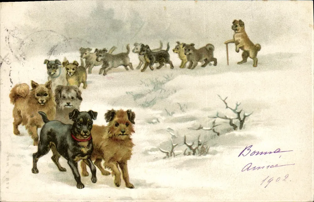 Pieski na śniegu — scenka zimowa — A.S.M. B. 1909 - Awers