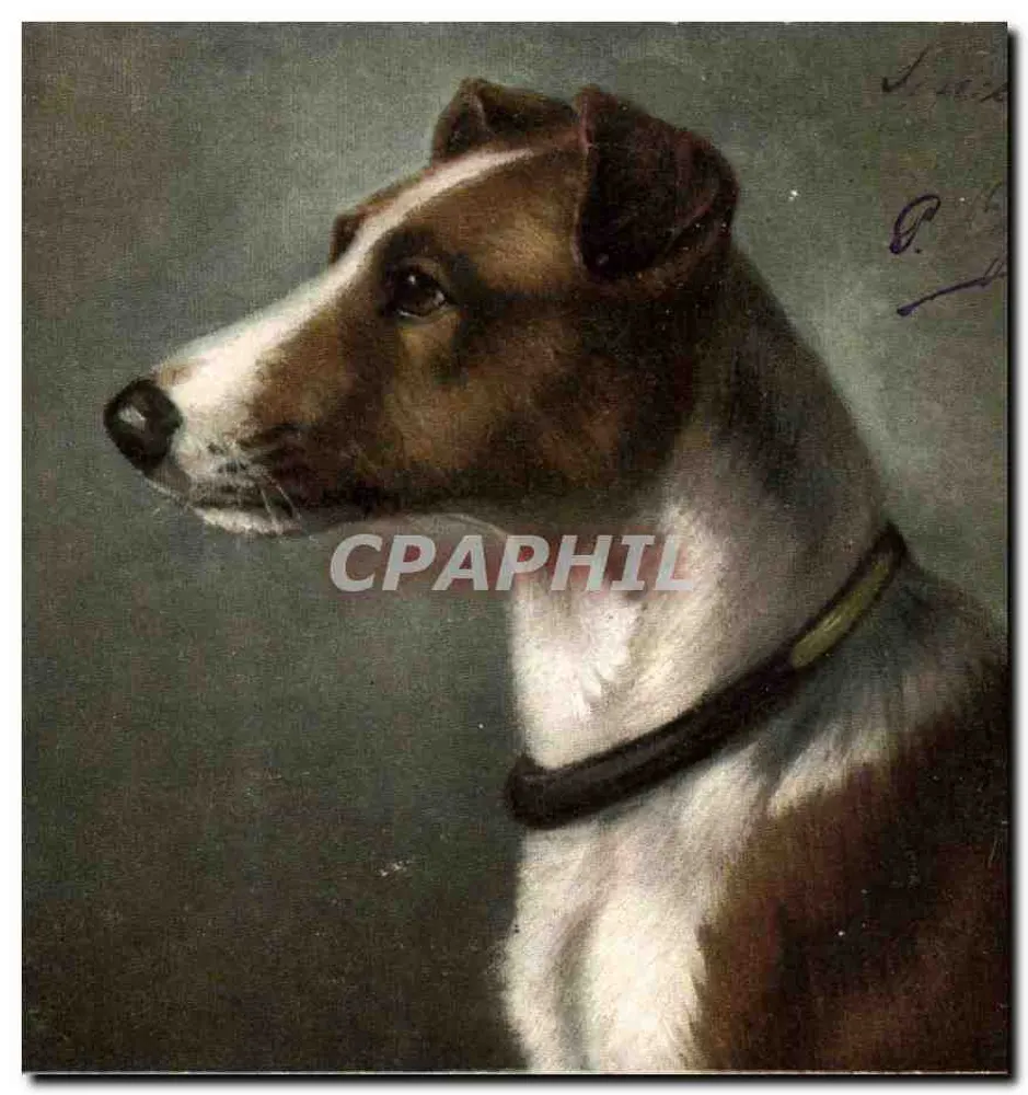 Portret psa — wydawca N.F. Lorette, seria 110, Paryż - Awers
