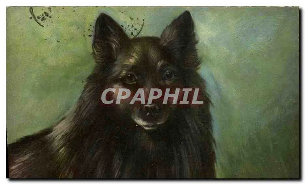 Retrato de um cão preto — editor desconhecido, número de série não visível - Frente