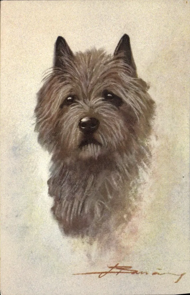 Chien — portrait — J. Banning, No. 109 - Awers