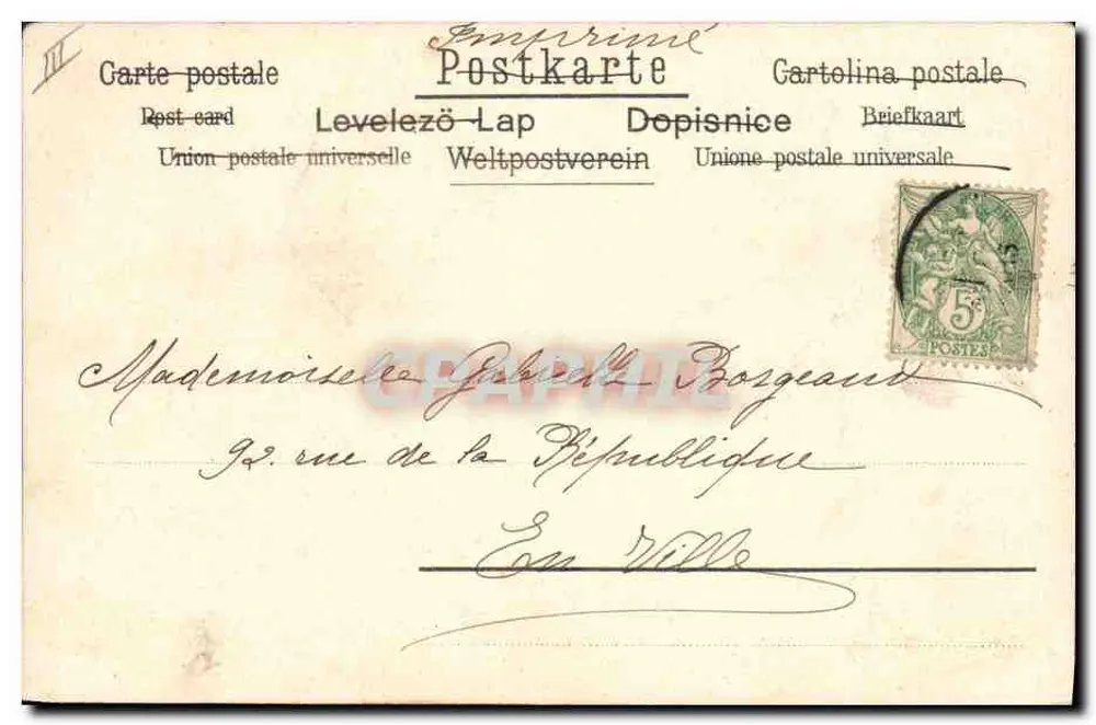 Chiens dans la mer — scène de bain — A.F.M. B. N°534 - Verso
