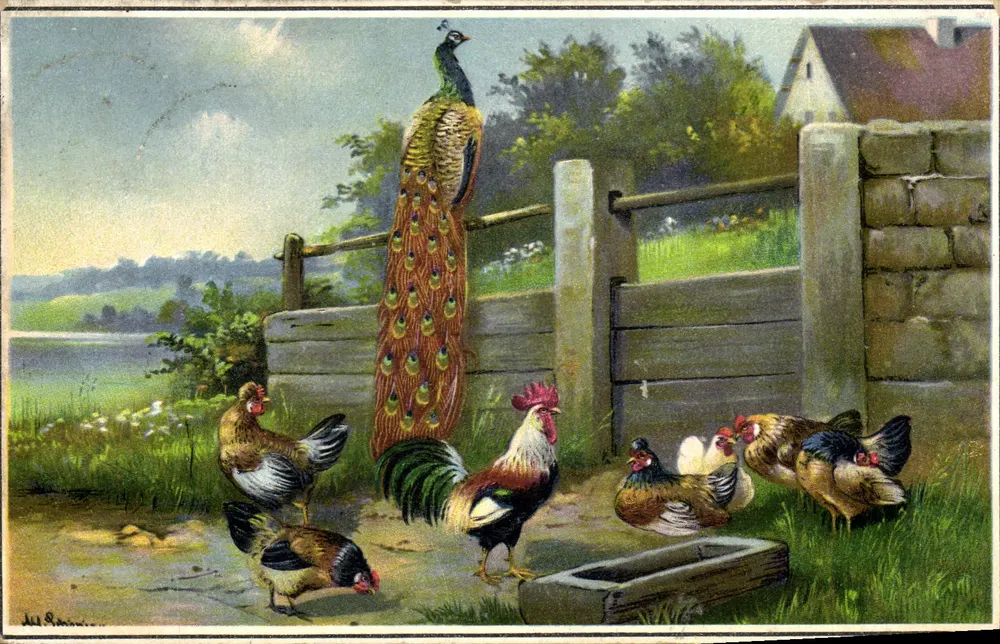 Paisagem rural com pavão e galinhas — editor Ald. Léonin, série 1142-6 - Frente