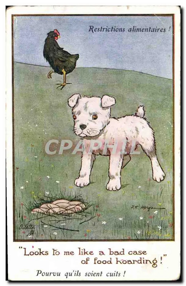 Perro y gallina — Restricciones alimentarias! — Tuck's Post Card n°3124 - Anverso