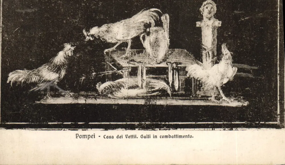 Pompeji - Haus der Vettii - Hähne im Kampf — Verlag Brunner & C., Como - Vorderseite