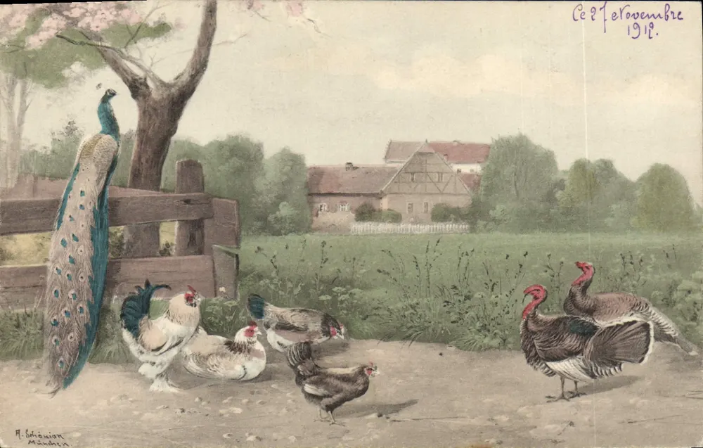 Paisagem rural com pavão e patos — H. Schöniion, Mänden — série Artistic No. 133 - Frente