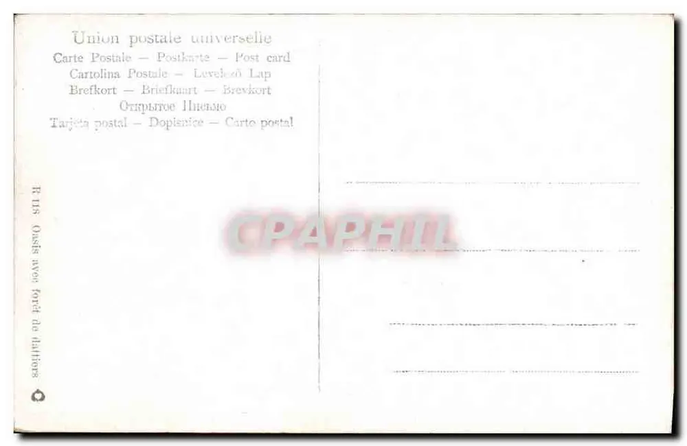 Szene des Lebens in Ägypten — Reisende und Kamel — Verlag R.118, Oasys mit Dattelpalmenwald - Rückseite
