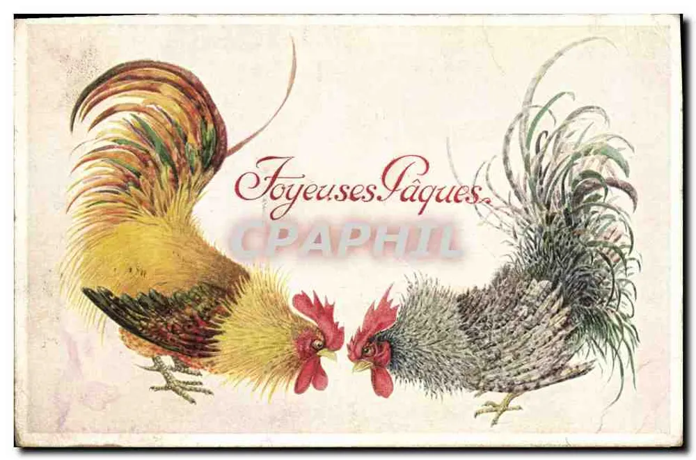 Deux coqs — scène de Pâques — éditeur : CPAPHIL, n° 03395 - Awers