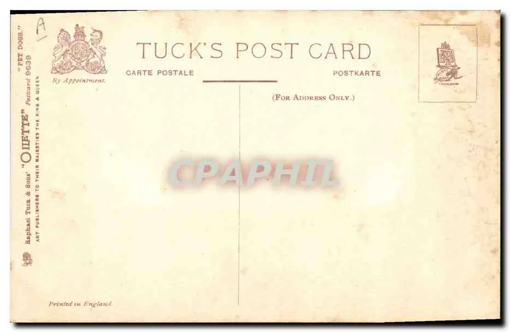 Pekin Spaniel — N. Dominiond, editor Tuck & Sons, n° 9639 - Verso