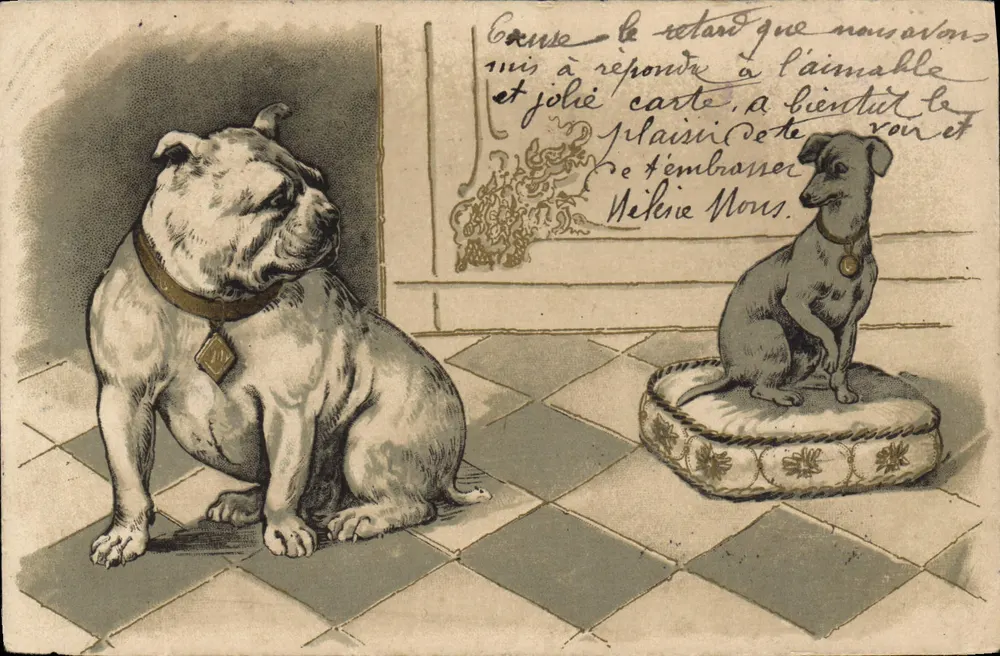 Deux chiens — scène intérieure — éditeur non visible - Awers