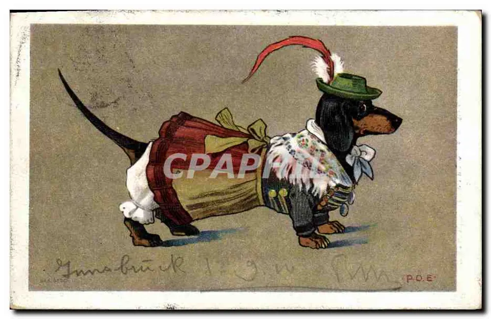 Cachorro em traje de dançarino — Ginástica — P.O.E. (editor) - Frente