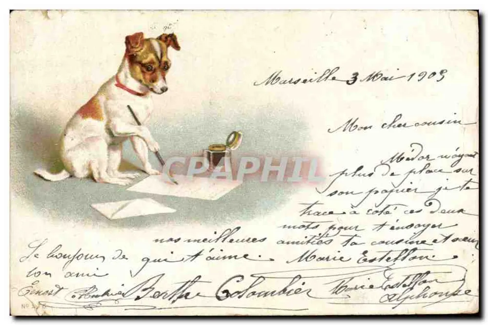 Chien Jack Russell — dessin d'un chien écrivant — éditeur Union postale universelle, n° 377 - Awers