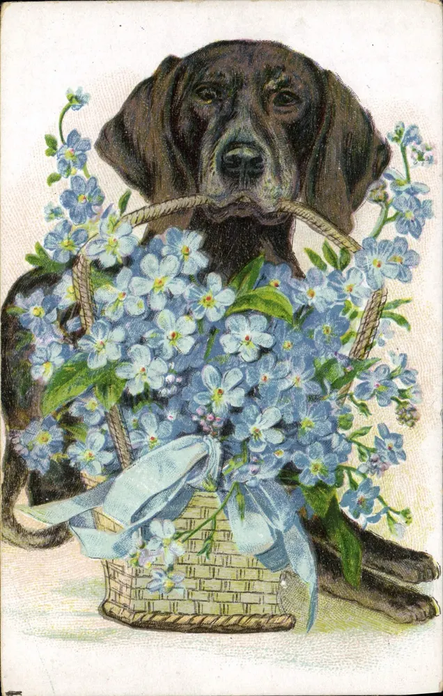 Cachorro preto segurando um cesto de flores — editor não visível - Frente