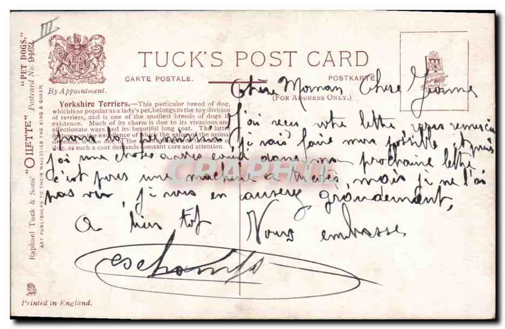 Yorkshire Terrier — Tuck's Post Card N° 0482 — Raphael Tuck & Sons - Rückseite