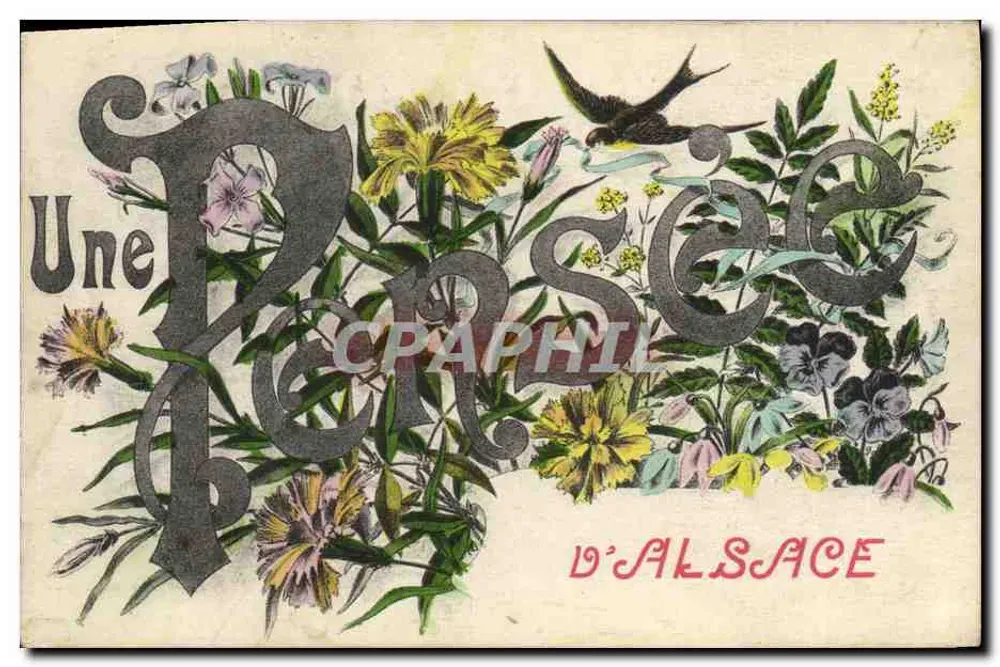 Uma Perséfone — D'ALSACE — Edição Chadorne, Faubourg de France, Beltort - Frente