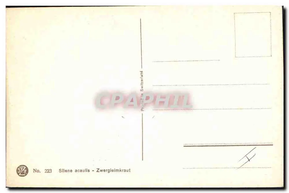 Silene acaulis - Zwergleimkraut — STF Nr. 223 — Schweiz - Rückseite
