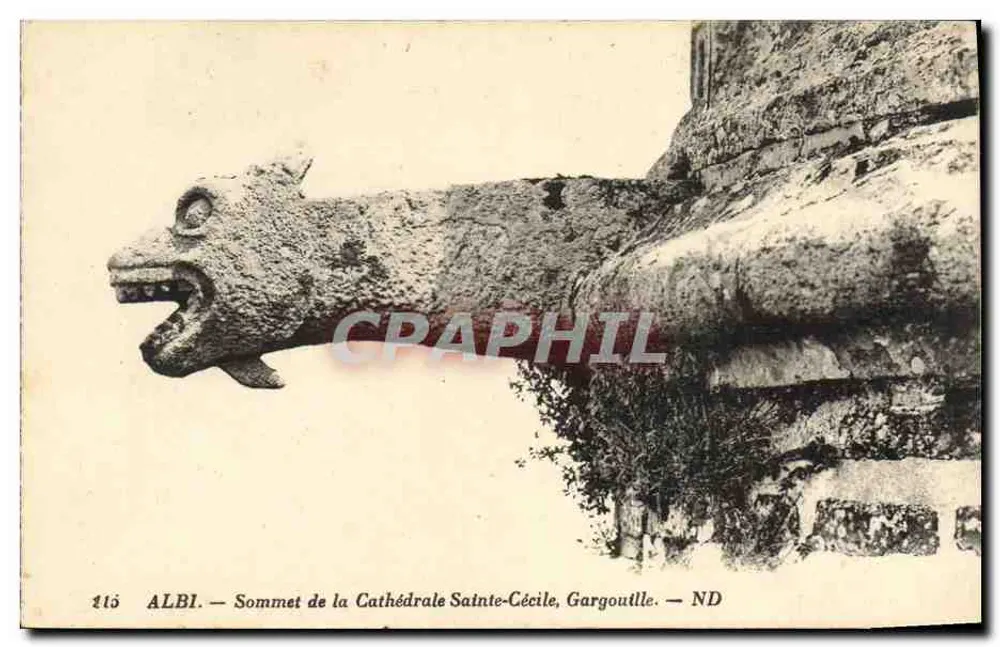 Albi — Gipfel der Kathedrale Sainte-Cécile, Gargoyle — ND - Vorderseite