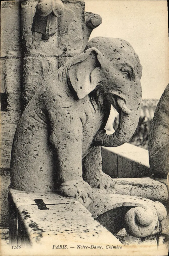 Paris — Notre-Dame, Chimère — Verlag Chohen, Nr. 1186 - Vorderseite