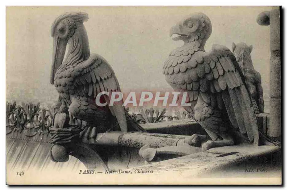 Paris — Notre-Dame, Chimären — ND. Prov. n°148 - Vorderseite