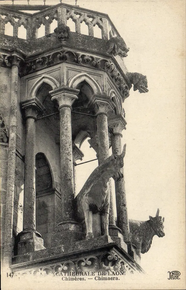 Catedral de Laon — Chimères — JND Fot. - Frente