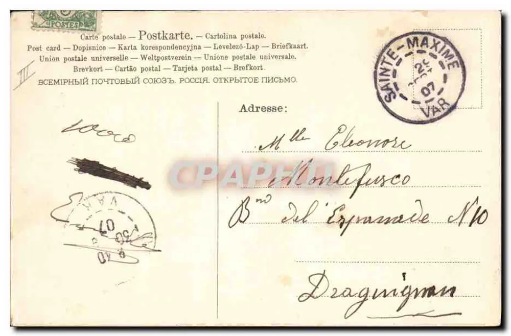 Erismão e filhotes — ilustração — editor AAN B N° 562 - Verso