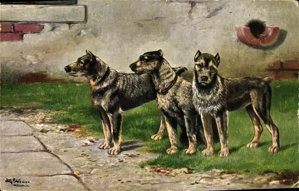 Trzy psy — ilustracja — K. F. Wydawca, Paryż, seria 1921 - Awers
