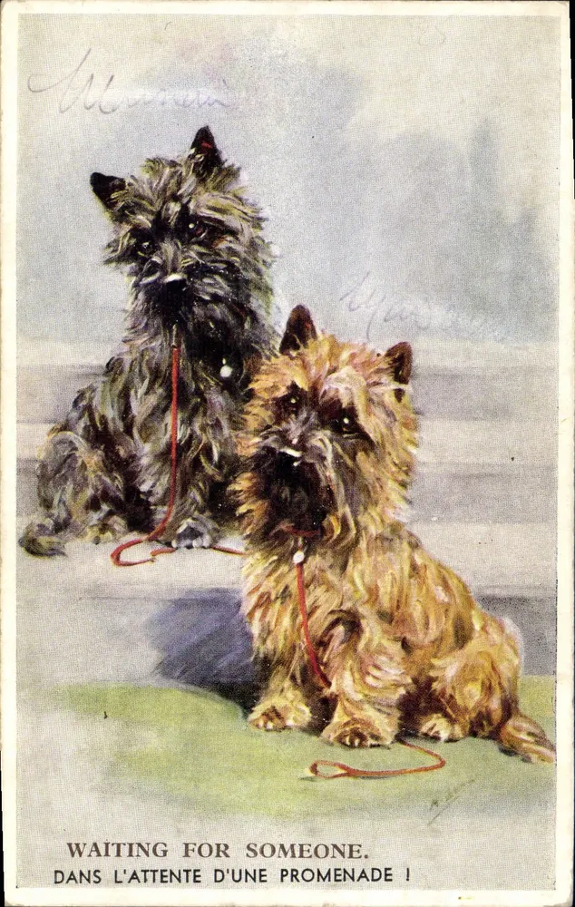 Dois cães esperam uma caminhada — Valentine's Gear Postcards n°3273 - Frente