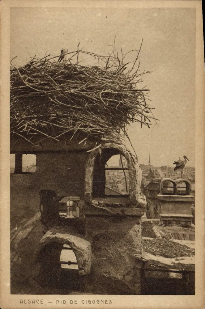 Alsácia — Ninho de corujas — Braun & Cie, Dornach H.-Rhine - Frente